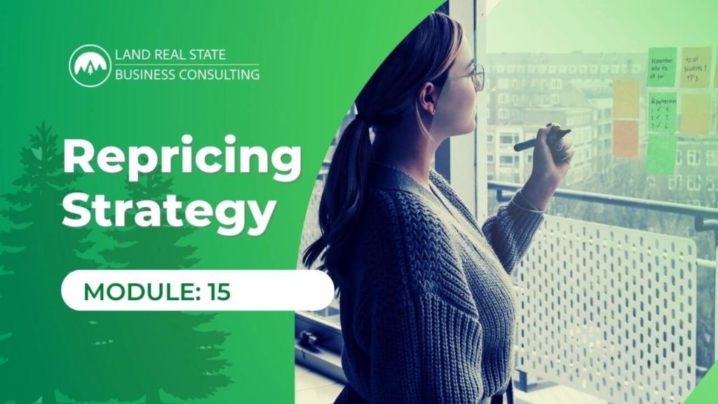 Repricing Strategy